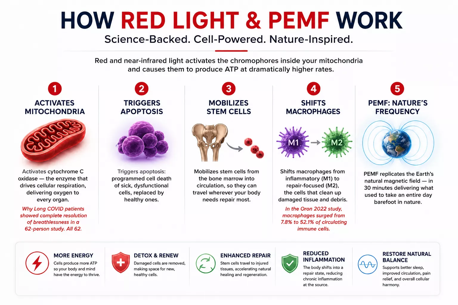 How red light and PEMF work together